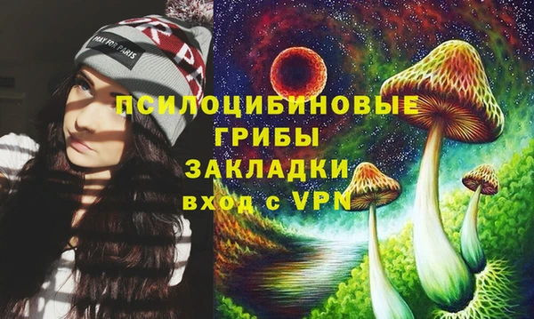 эйфоретик Белокуриха